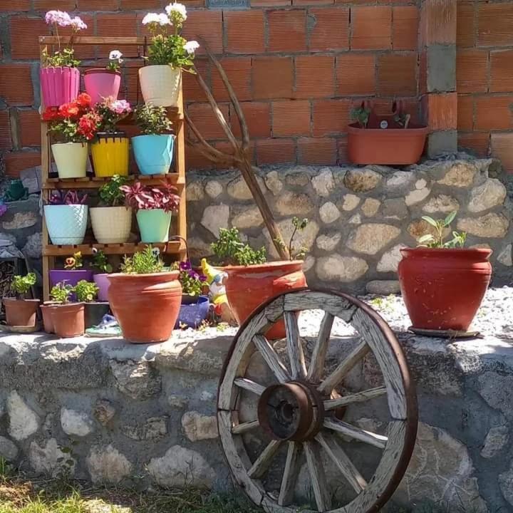Hotel Yesil Kelebek Ev Kadikoy  Esterno foto